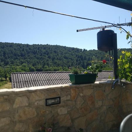Hotel Milica App Skradinsko Polje 24 Exterior foto